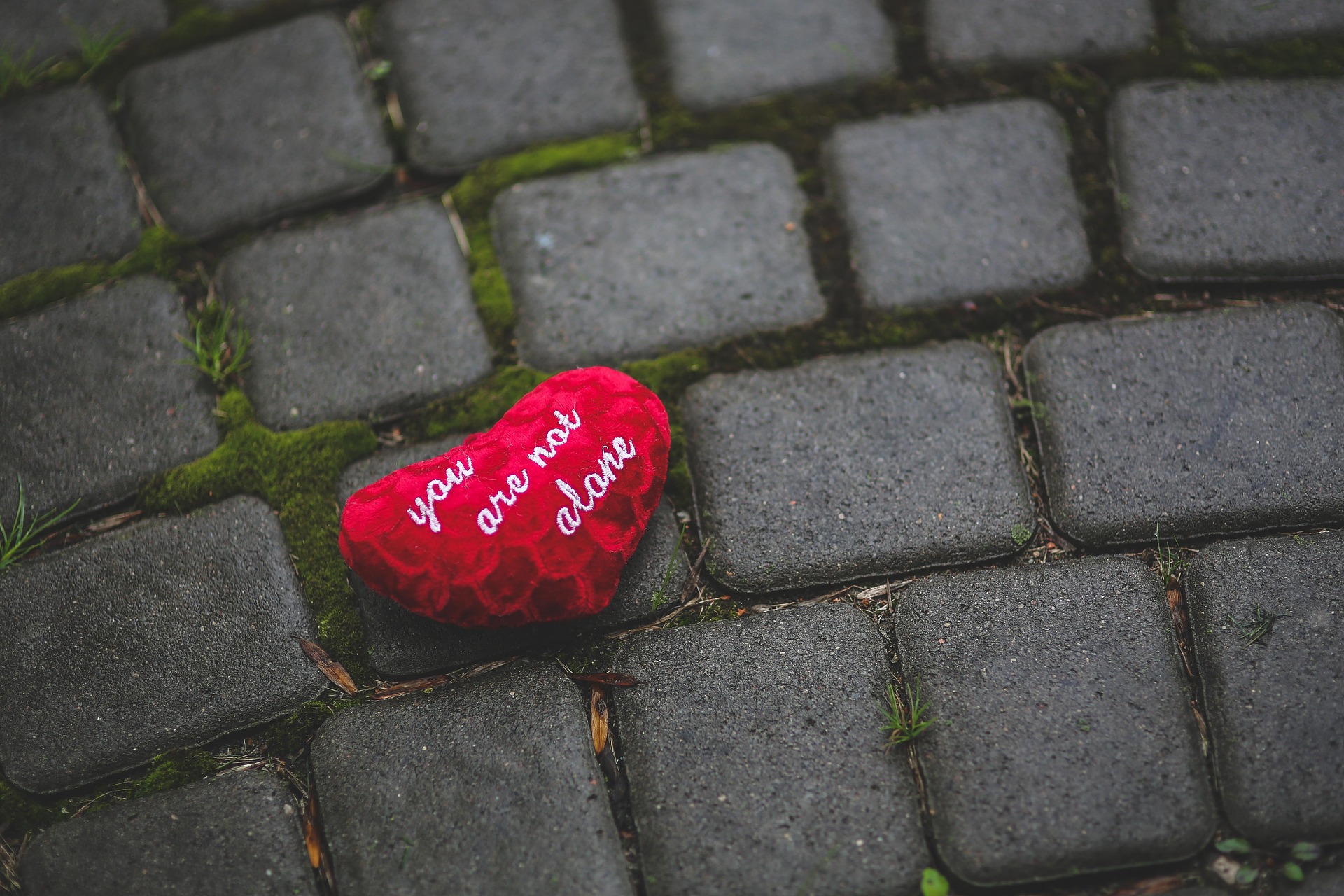 Build, Don’t Break: Choosing the right words is very important